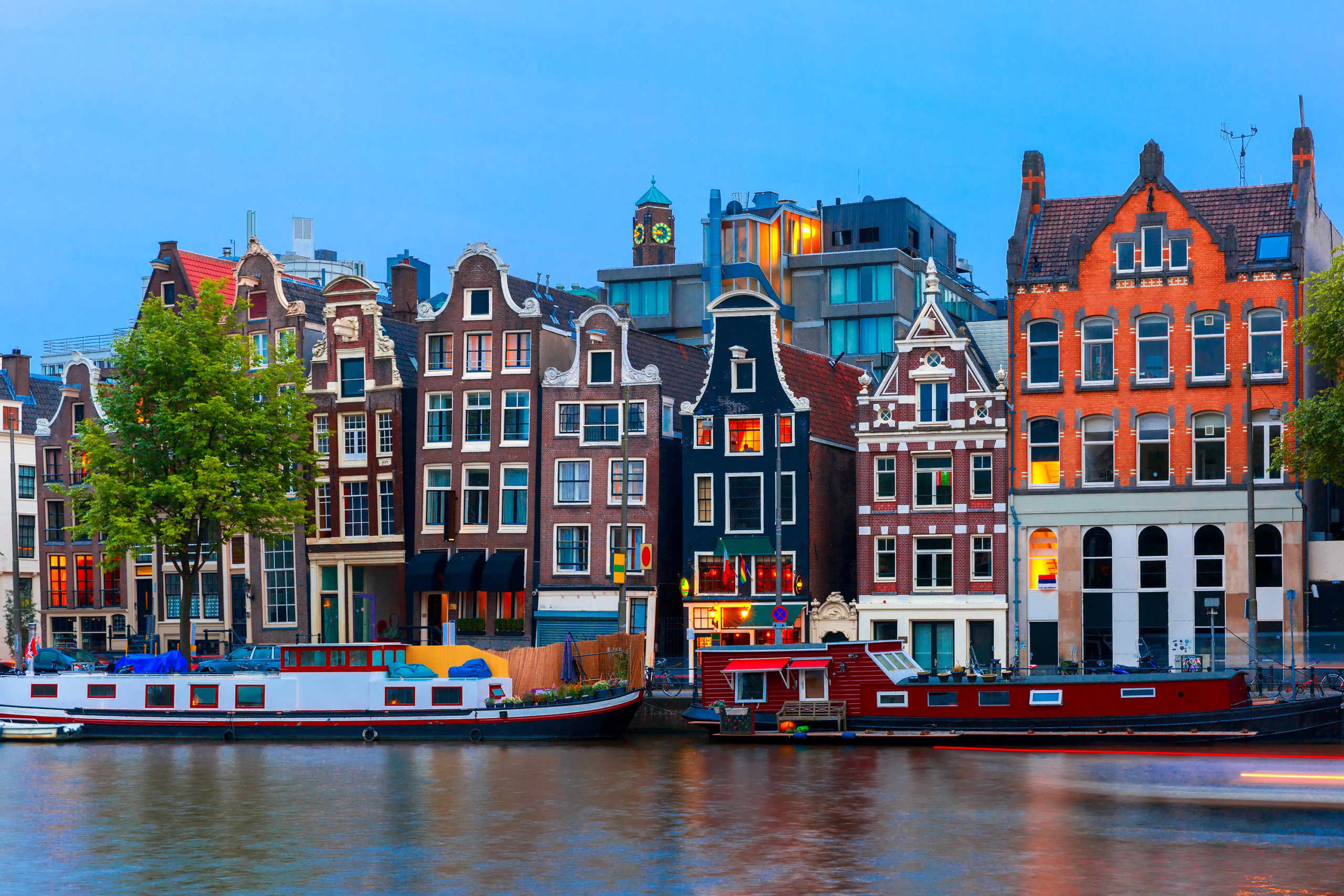 amsterdam culture guide january 2025